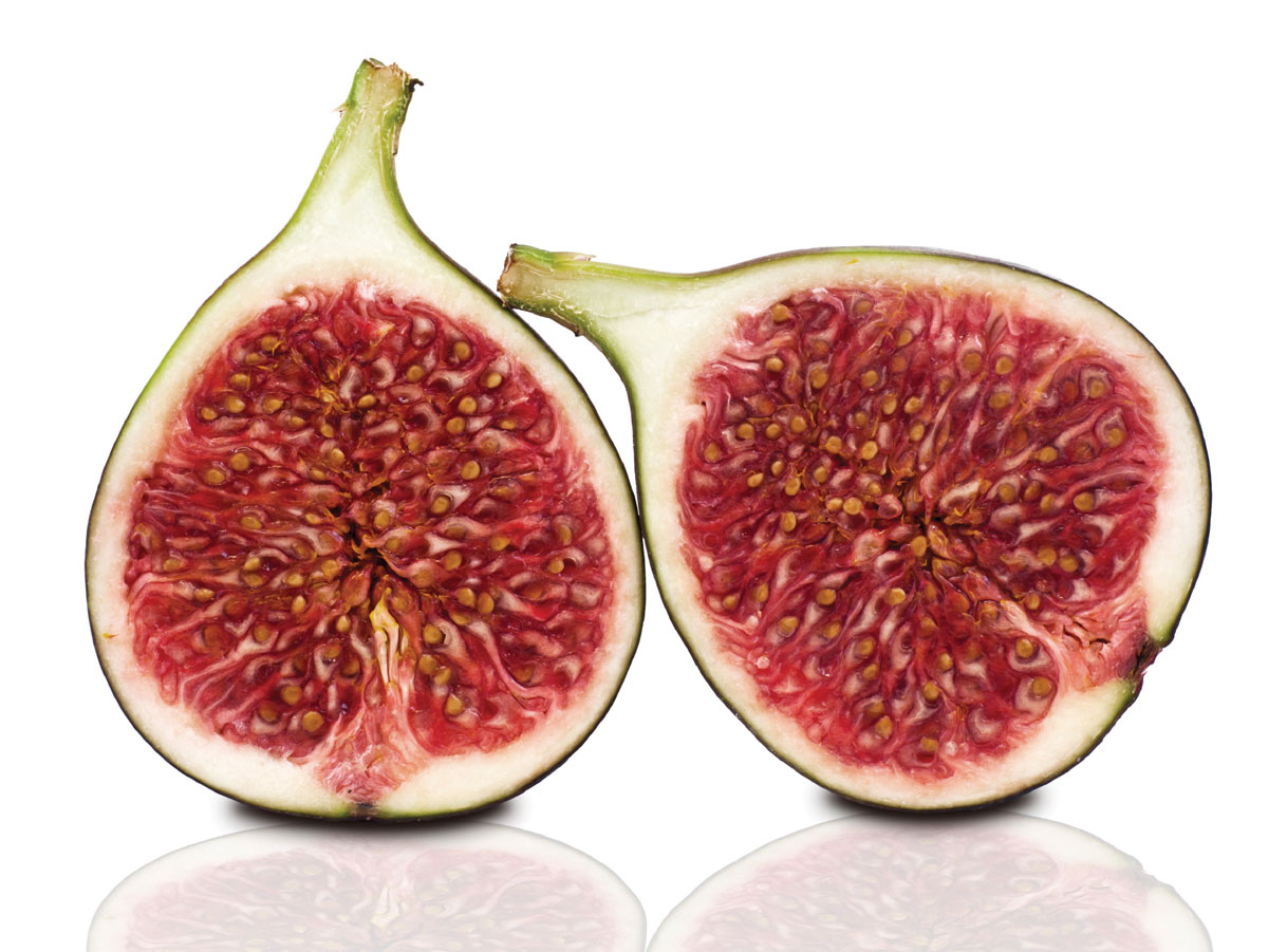 How to Clone and Grow a Fig Tree