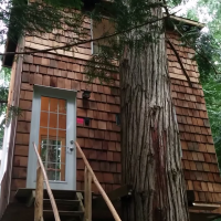 This Tiny Home Is a Grown-Up Treehouse