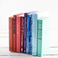 Stealthy Storage: DIY Invisible Bookends