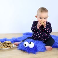 DIY Cookie Monster Rug
