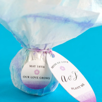 DIY Seed Bomb Party Favors