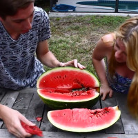 What Happens When You Pour Molten Aluminum into a Watermelon?