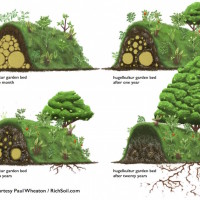 Build the Ultimate Backyard Garden with a Hugelkultur Raised Bed