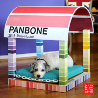 Two Paws Up: Panbone Pantone-Inspired Paint Chip Dog Bed