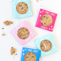 Grad Craft: DIY Smart Cookie Graduation Party Favors