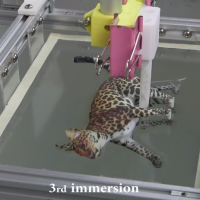 New Research Allows for Incredibly Colored 3D Prints