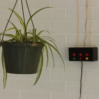 Build a Motorized System for Raising and Lowering Hanging Plants