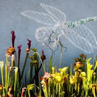 Make a Chicken Wire Dragonfly Decoration for Your Garden