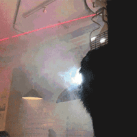 Giant Fog-Breathing Robotic Crow Shoots Lasers