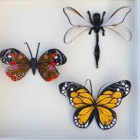 Paper Quilled Insects: Capture the Beauty, Not the Bugs