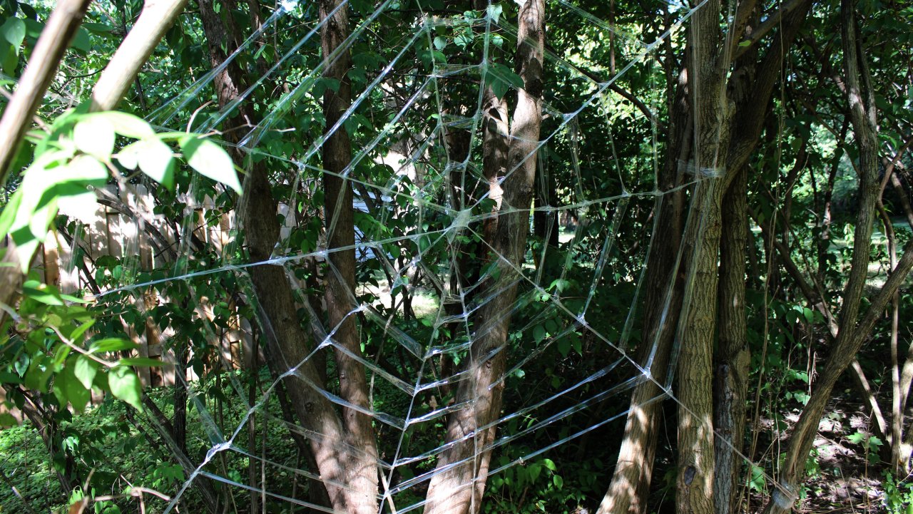 Weave a Giant Frightful Spider Web for Halloween