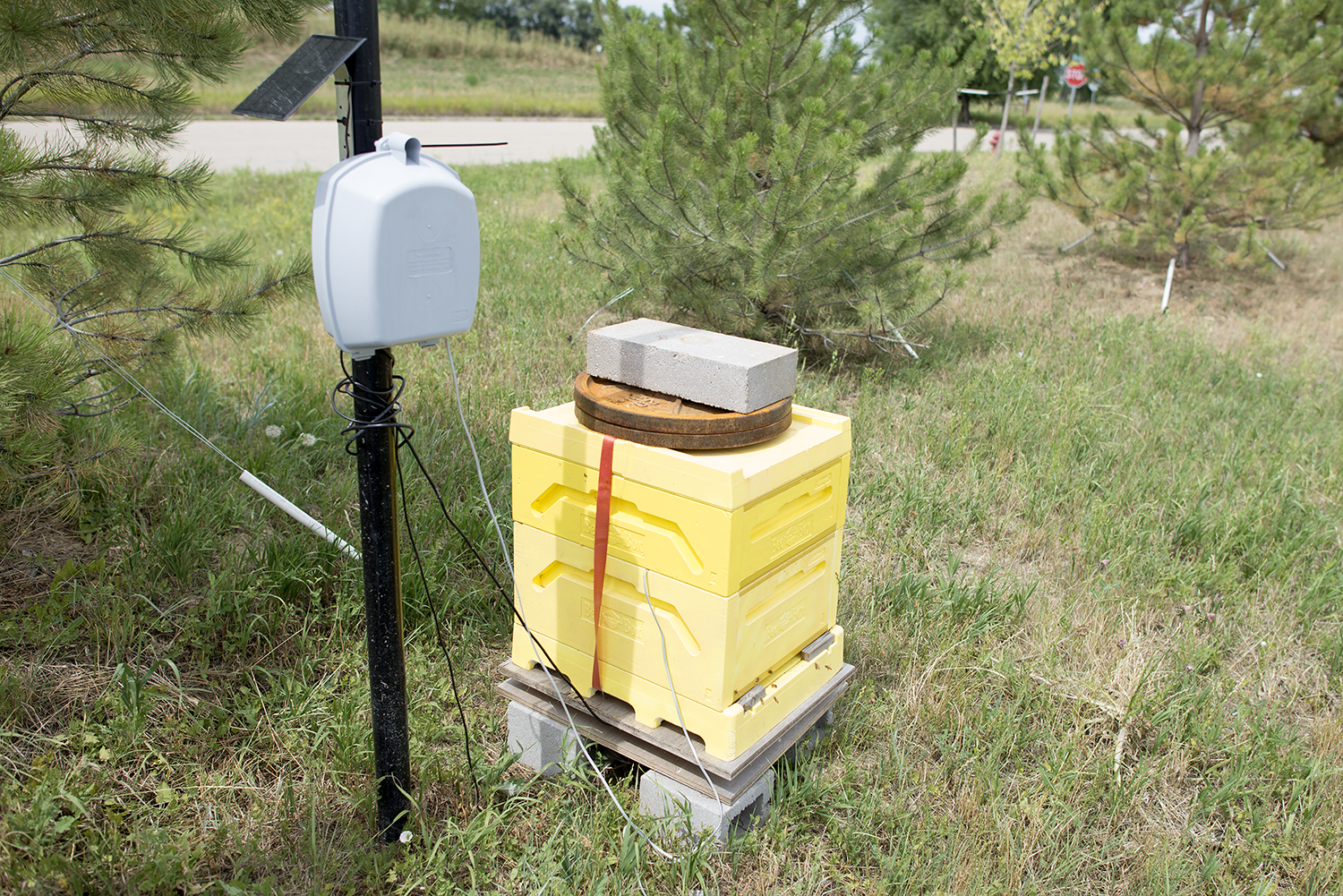 Measuring the weight of a bee hive over time