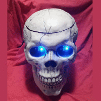 Scare Trick or Treaters with an Animatronic Skull Candy Jar