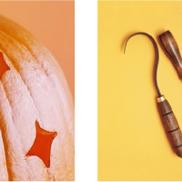 Pumpkin Carving Tools and How to Use Them