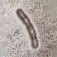 Artist Creates Outrageously Detailed, Beautiful Papercraft Microbes