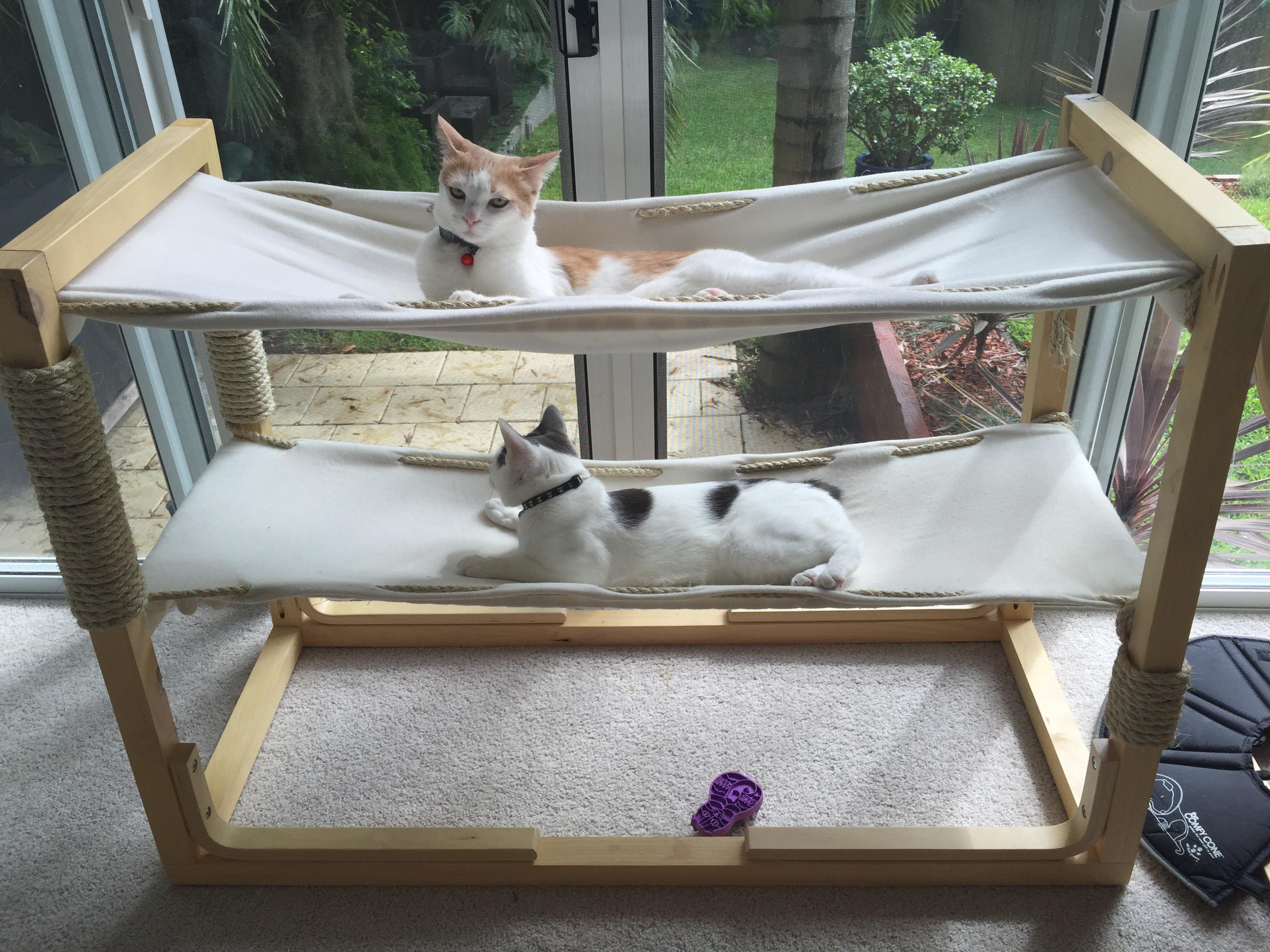 Build Bunk Bed Hammocks for Your Cats | Make: