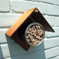 Build a Backyard Bee Hotel