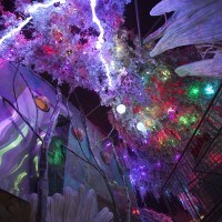 Meow Wolf Builds Fantastical Immersive Art — And Sustainable Models for Artists