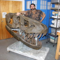 Making a Life-Size Tyrannosaurus Rex Skull Replica