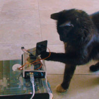 Nvidia Jetson TX1 Cat Spotter and Laser Teaser