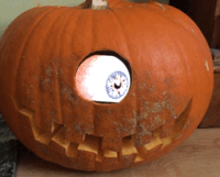 Animate Your Jack-O’-Lantern with an App