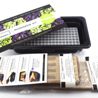 Edible Innovations: Plant This Seed Kit to Grow Microgreens All Year