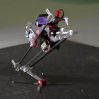 Leaping Robot Inspired by Bush Babies and Parkour