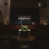 Edible Innovations: Grow Healthy Plants with Bloomengine