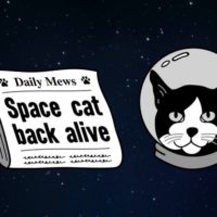 Kickstarting A Statue To Honor The One and Only Space Cat