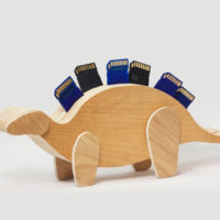 Get Those Memory Cards On Display With This Simple Dinosaur Project