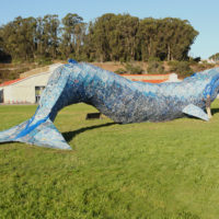 How They Made: Life Size Blue Whale from Recycled Plastic
