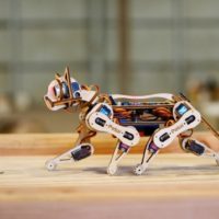 Cool Crowdfunding: Robot Cats, Balloon Drones, and Every Day Calendars