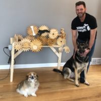 Clever Crafter Constructs Canine Caressing Contraption