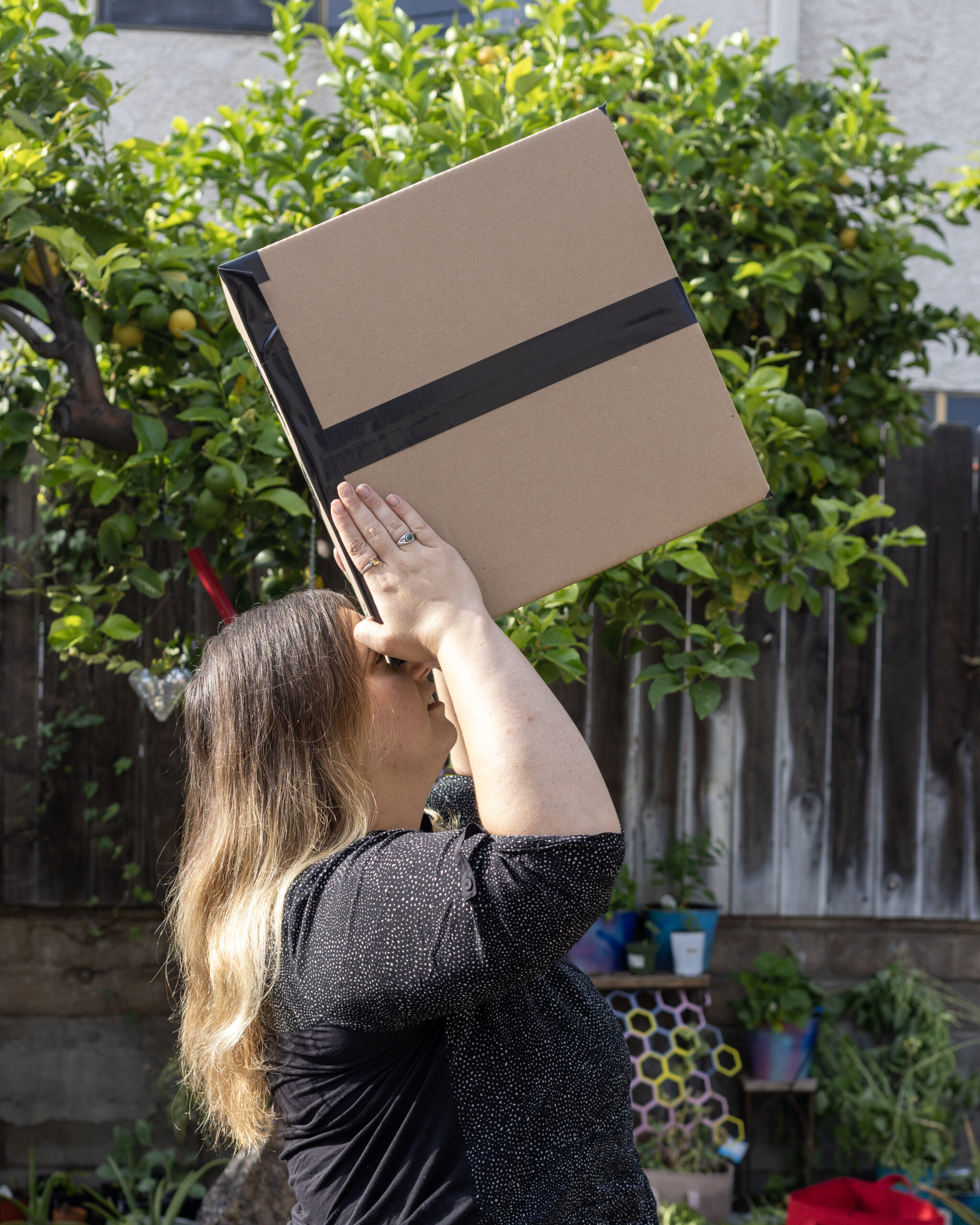Cardboard Box Eclipse Viewer