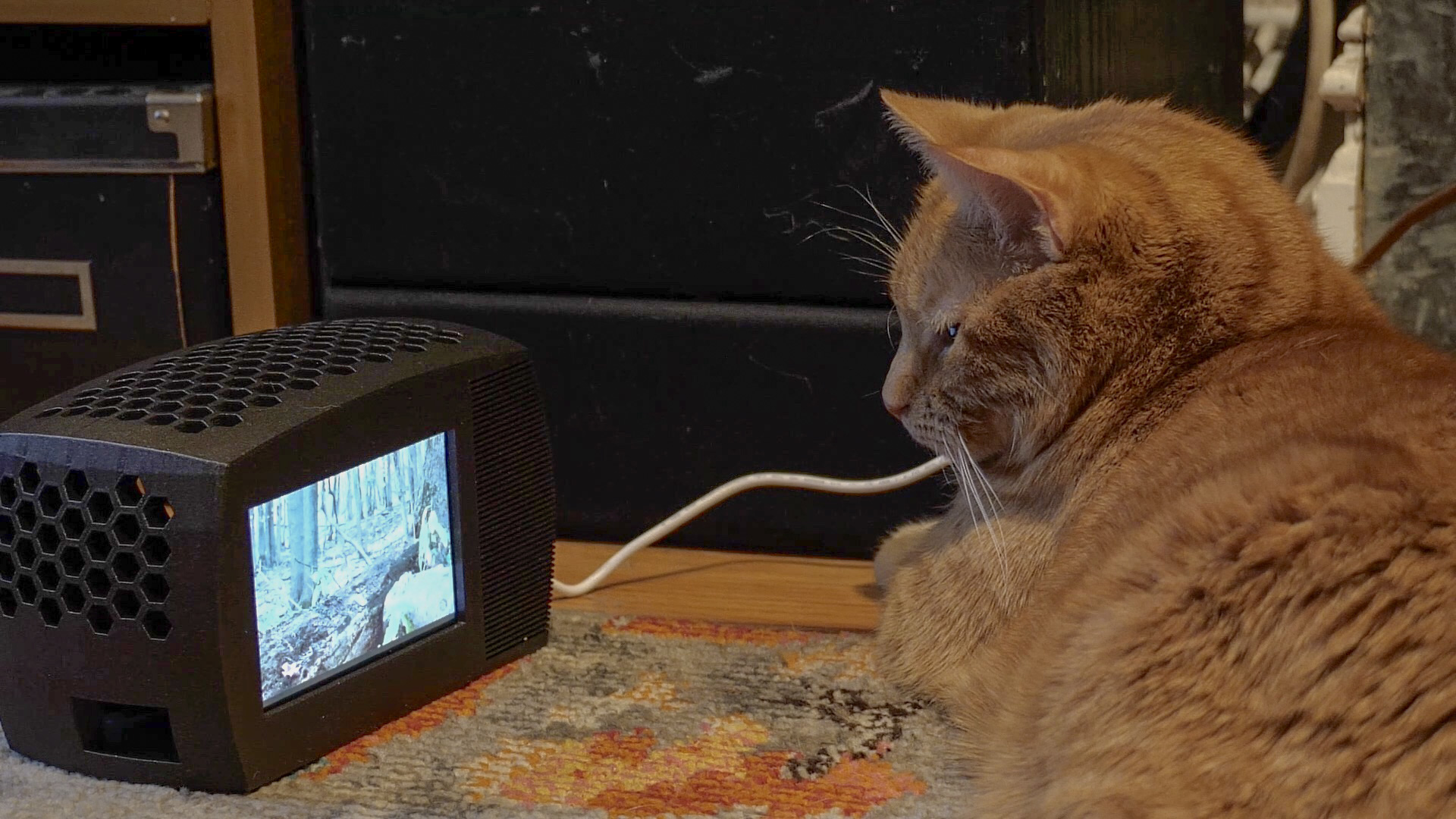 Make A Tiny TV For Your Cat Because That’s Awesome