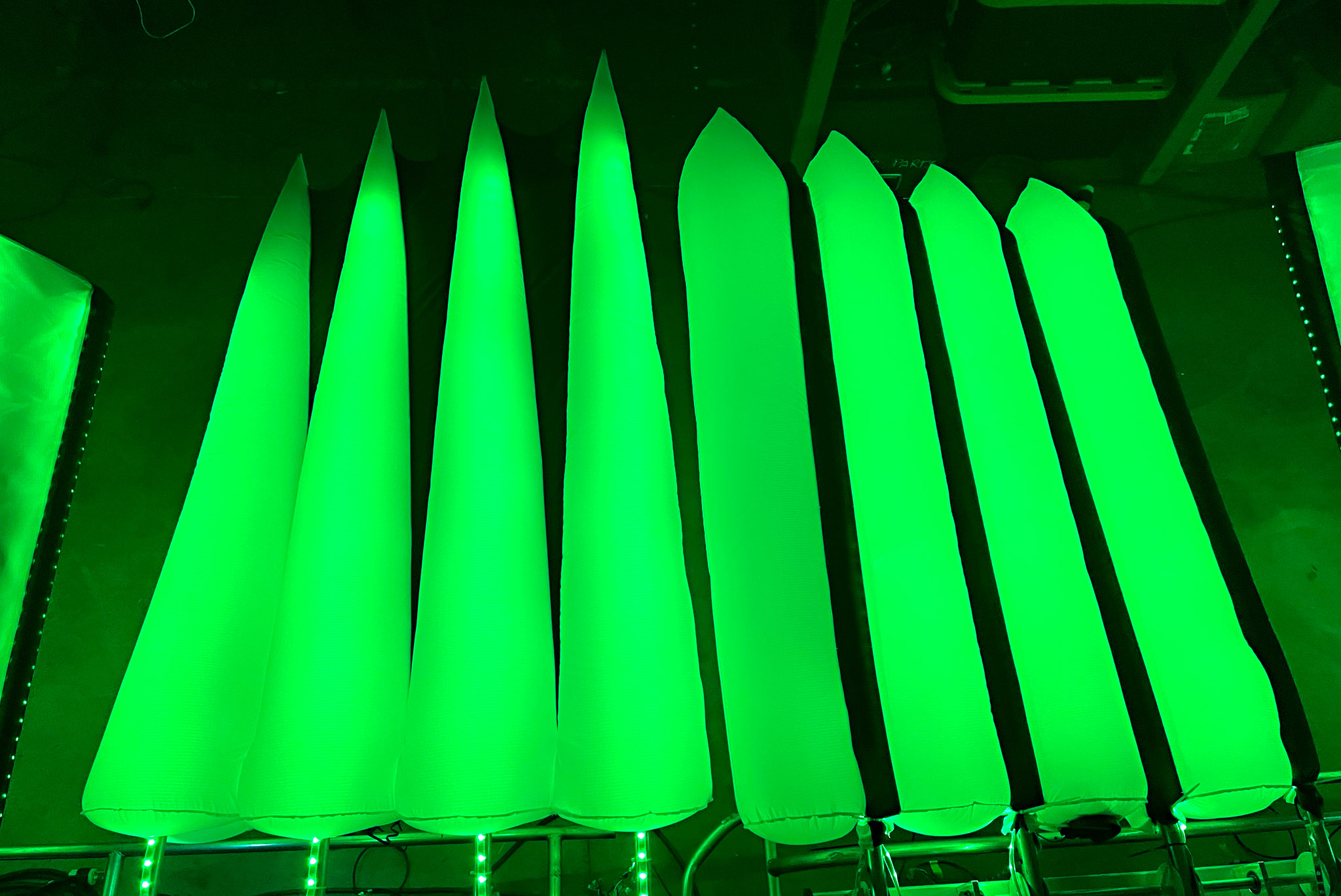 A range of fins vary from round to pointy.