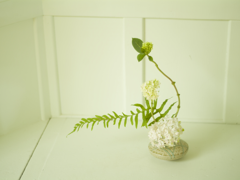 Ikebana 101