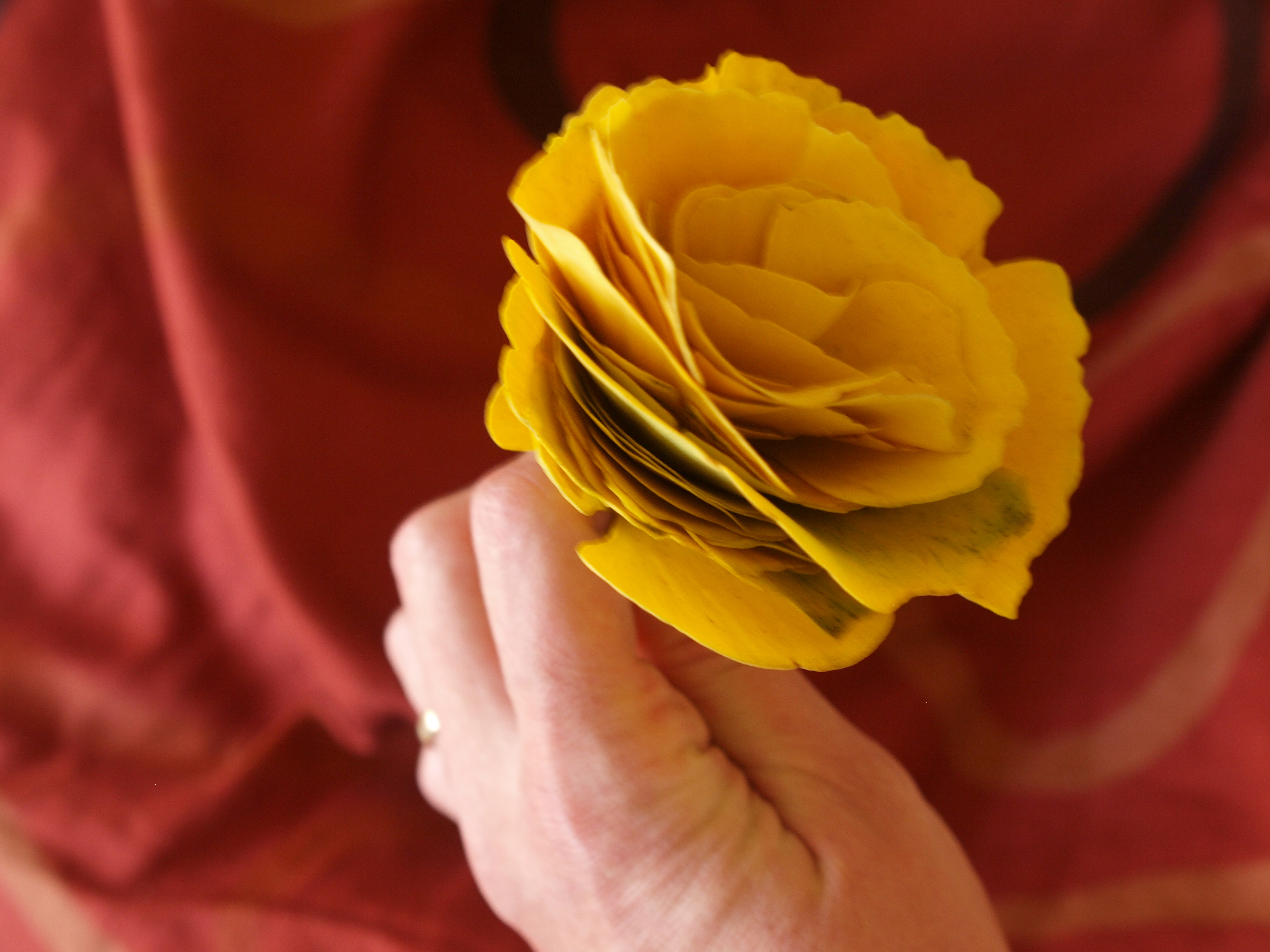 Yellow Gingko Rose