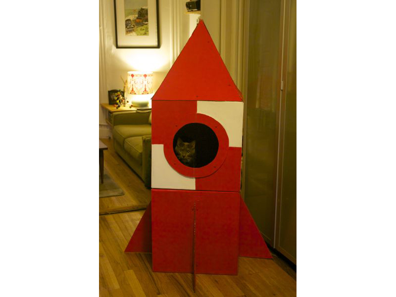 Cardboard Cat Rocket
