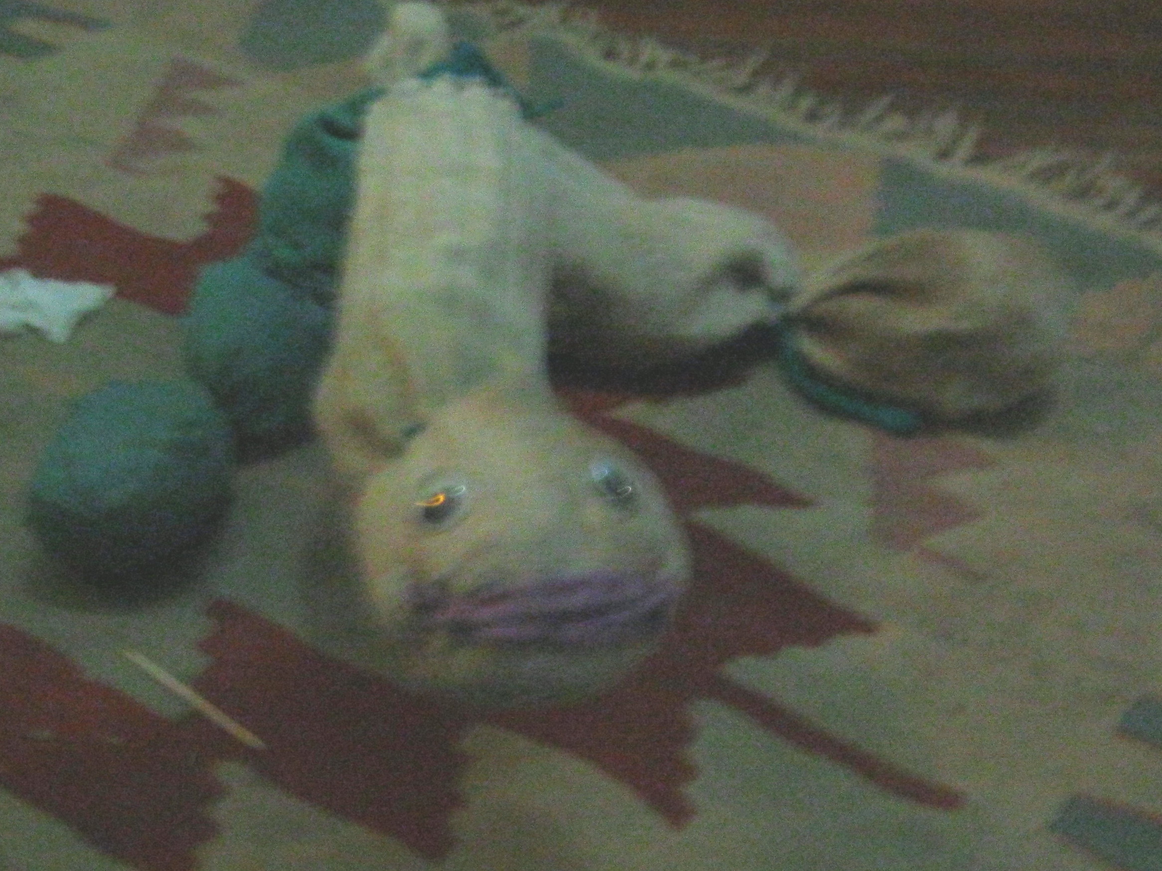 String Puppet from Three Socks